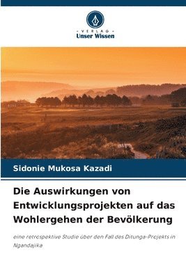 bokomslag Die Auswirkungen von Entwicklungsprojekten auf das Wohlergehen der Bevlkerung