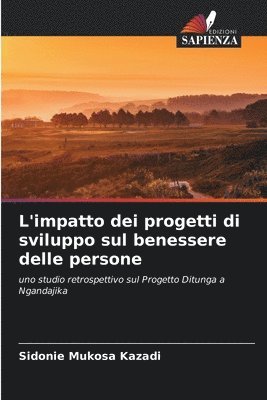 bokomslag L'impatto dei progetti di sviluppo sul benessere delle persone