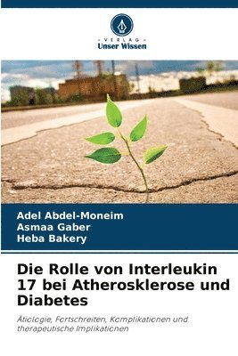 Die Rolle von Interleukin 17 bei Atherosklerose und Diabetes 1