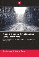 bokomslag Rumo a uma Cristologia Igbo-Africana