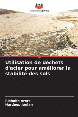 bokomslag Utilisation de dchets d'acier pour amliorer la stabilit des sols