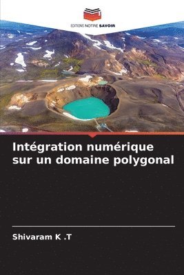 bokomslag Intgration numrique sur un domaine polygonal