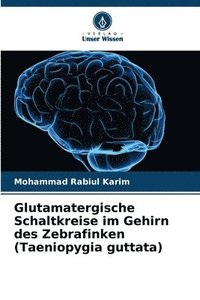 bokomslag Glutamatergische Schaltkreise im Gehirn des Zebrafinken (Taeniopygia guttata)