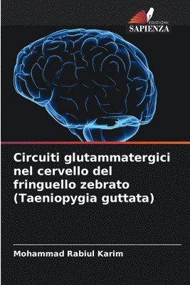 bokomslag Circuiti glutammatergici nel cervello del fringuello zebrato (Taeniopygia guttata)
