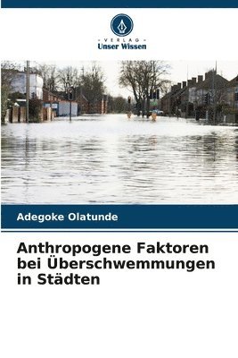 Anthropogene Faktoren bei berschwemmungen in Stdten 1