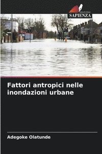 bokomslag Fattori antropici nelle inondazioni urbane