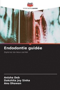 bokomslag Endodontie guidée