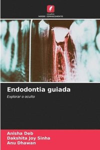 bokomslag Endodontia guiada