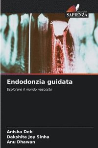bokomslag Endodonzia guidata