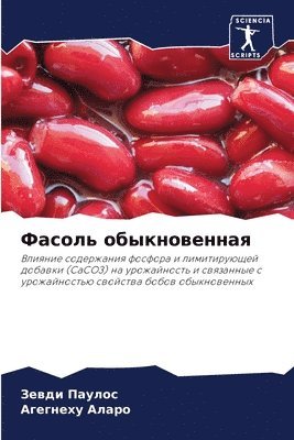 &#1060;&#1072;&#1089;&#1086;&#1083;&#1100; &#1086;&#1073;&#1099;&#1082;&#1085;&#1086;&#1074;&#1077;&#1085;&#1085;&#1072;&#1103; 1