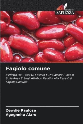 Fagiolo comune 1