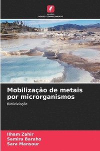 bokomslag Mobilizao de metais por microrganismos