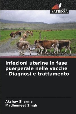 Infezioni uterine in fase puerperale nelle vacche - Diagnosi e trattamento 1