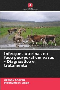 bokomslag Infeces uterinas na fase puerperal em vacas - Diagnstico e tratamento