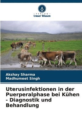 bokomslag Uterusinfektionen in der Puerperalphase bei Khen - Diagnostik und Behandlung