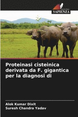 Proteinasi cisteinica derivata da F. gigantica per la diagnosi di 1