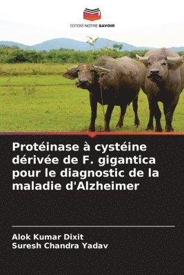 bokomslag Protinase  cystine drive de F. gigantica pour le diagnostic de la maladie d'Alzheimer