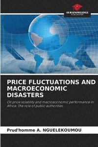 bokomslag Price Fluctuations and Macroeconomic Disasters