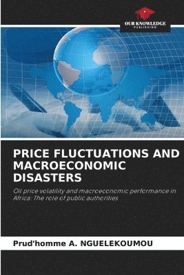 bokomslag Price Fluctuations and Macroeconomic Disasters