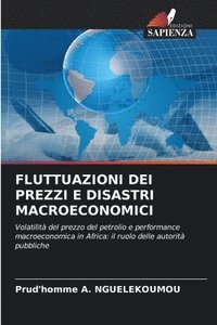 bokomslag Fluttuazioni Dei Prezzi E Disastri Macroeconomici