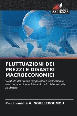 Fluttuazioni Dei Prezzi E Disastri Macroeconomici 1