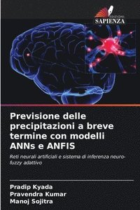 bokomslag Previsione delle precipitazioni a breve termine con modelli ANNs e ANFIS