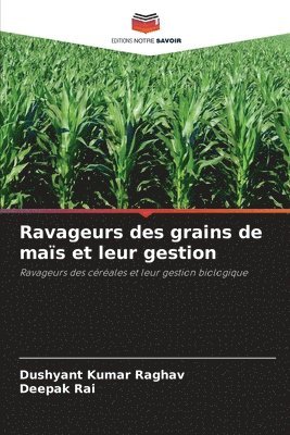 Ravageurs des grains de mas et leur gestion 1