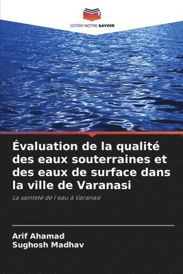 bokomslag valuation de la qualit des eaux souterraines et des eaux de surface dans la ville de Varanasi