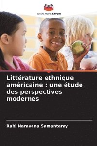 bokomslag Littérature ethnique américaine: une étude des perspectives modernes