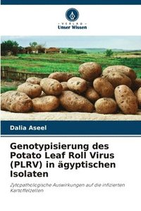 bokomslag Genotypisierung des Potato Leaf Roll Virus (PLRV) in ägyptischen Isolaten