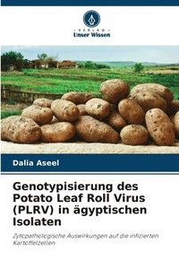 bokomslag Genotypisierung des Potato Leaf Roll Virus (PLRV) in gyptischen Isolaten