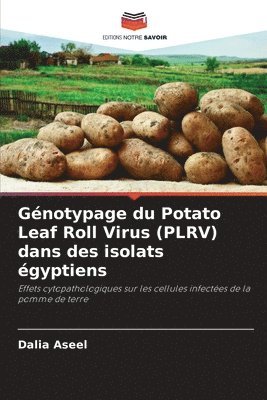 Gnotypage du Potato Leaf Roll Virus (PLRV) dans des isolats gyptiens 1