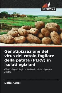 bokomslag Genotipizzazione del virus del rotolo fogliare della patata (PLRV) in isolati egiziani
