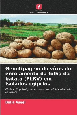 bokomslag Genotipagem do vrus do enrolamento da folha da batata (PLRV) em isolados egpcios