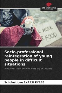 bokomslag Socio-professional reintegration of young people in difficult situations