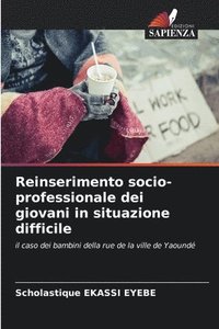 bokomslag Reinserimento socio-professionale dei giovani in situazione difficile