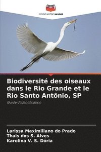 bokomslag Biodiversit des oiseaux dans le Rio Grande et le Rio Santo Antnio, SP