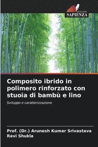 bokomslag Composito ibrido in polimero rinforzato con stuoia di bambù e lino