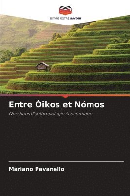 bokomslag Entre ikos et Nmos