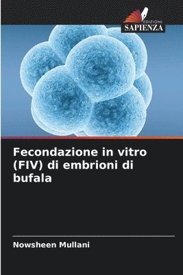 Fecondazione in vitro (FIV) di embrioni di bufala 1