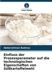 bokomslag Einfluss der Prozessparameter auf die technologischen Eigenschaften von Skartoffelmehl