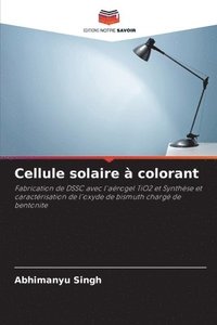 bokomslag Cellule solaire  colorant