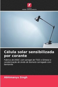 bokomslag Clula solar sensibilizada por corante