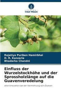 bokomslag Einfluss der Wurzelstockhhe und der Sprossholzlnge auf die Guavenveredelung