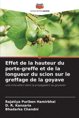 Effet de la hauteur du porte-greffe et de la longueur du scion sur le greffage de la goyave 1