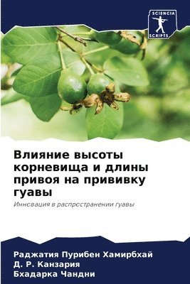 &#1042;&#1083;&#1080;&#1103;&#1085;&#1080;&#1077; &#1074;&#1099;&#1089;&#1086;&#1090;&#1099; &#1082;&#1086;&#1088;&#1085;&#1077;&#1074;&#1080;&#1097;&#1072; &#1080; 1