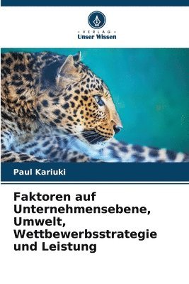 bokomslag Faktoren auf Unternehmensebene, Umwelt, Wettbewerbsstrategie und Leistung