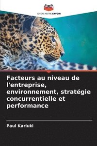 bokomslag Facteurs au niveau de l'entreprise, environnement, stratégie concurrentielle et performance