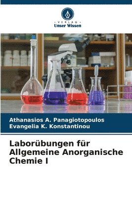 bokomslag Laborbungen fr Allgemeine Anorganische Chemie I