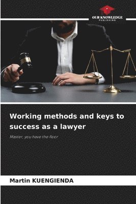 bokomslag Working methods and keys to success as a lawyer